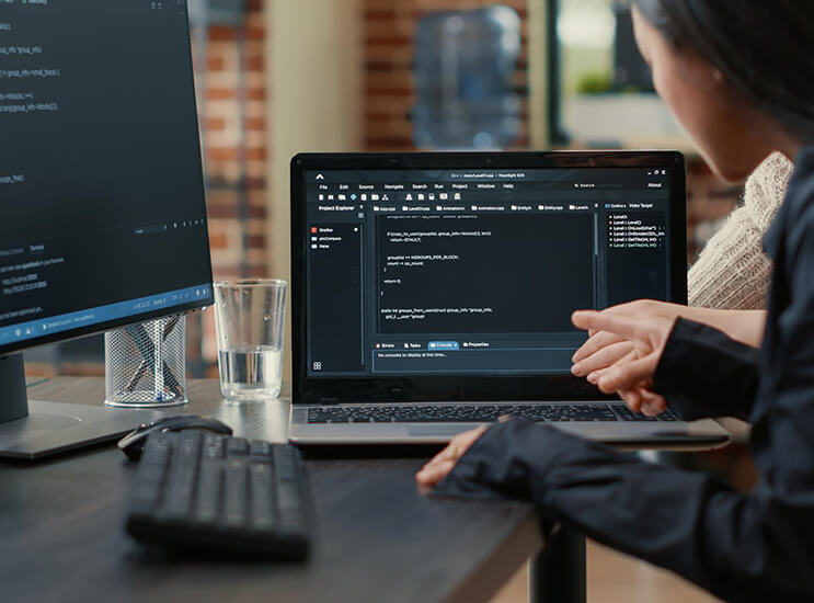 Application Preview